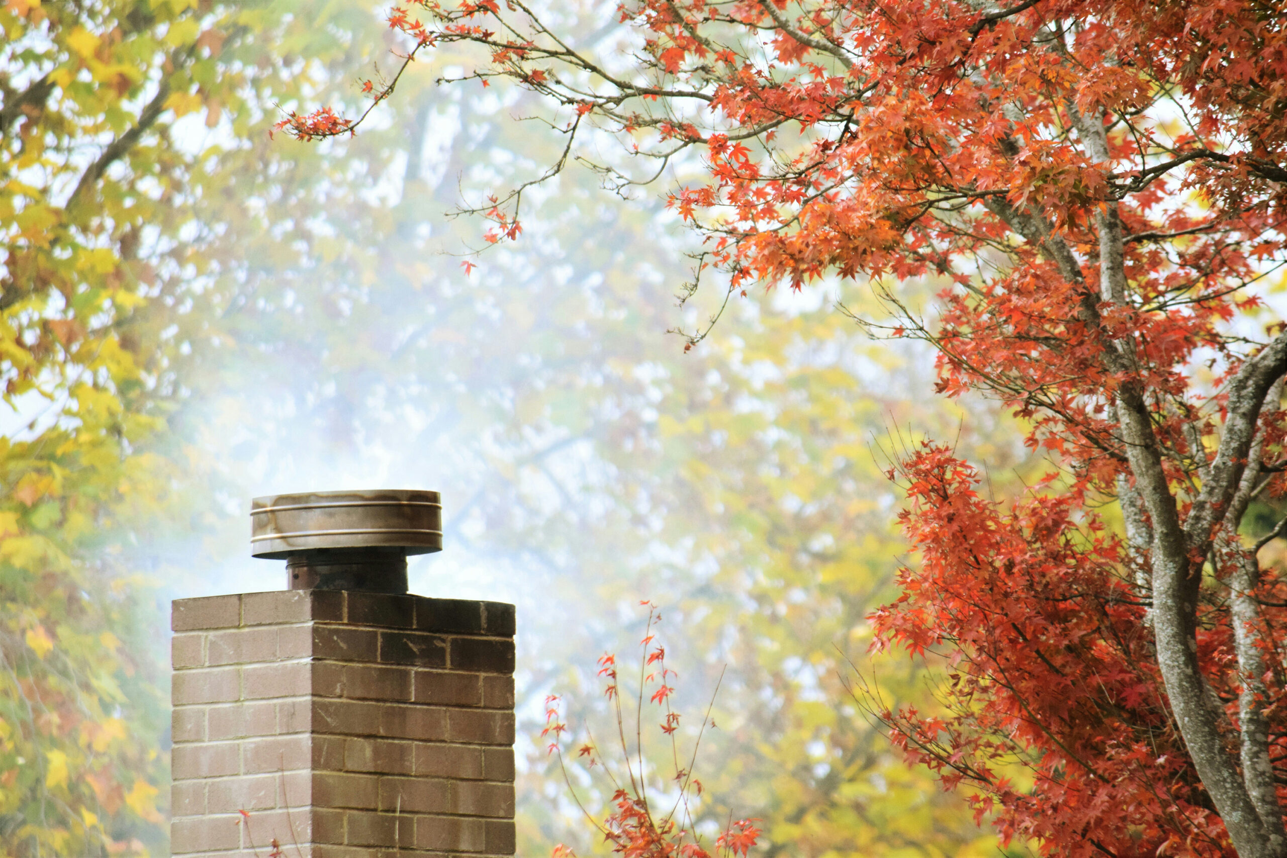 chimney with an autumn coloured forest in the background